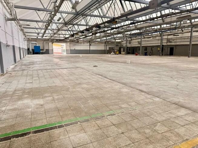 Lokal użytkowy Kielce