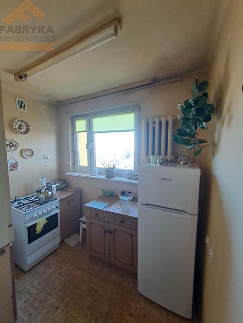 Mieszkanie Koluszki, Aleksandra Głowackiego