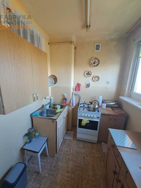 Mieszkanie Koluszki, Aleksandra Głowackiego