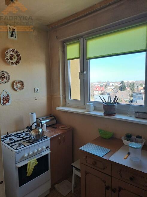 Mieszkanie Koluszki, Aleksandra Głowackiego