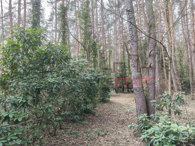 Działka budowlana Adamów-Wieś gm. Radziejowice,