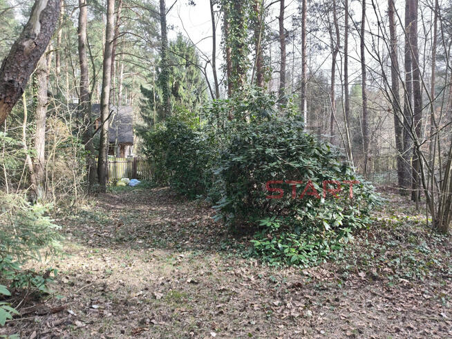 Działka budowlana Adamów-Wieś gm. Radziejowice,