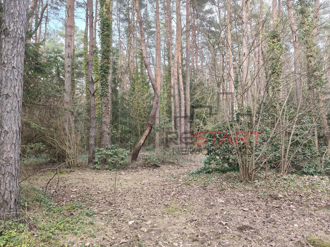 Działka budowlana Adamów-Wieś gm. Radziejowice,