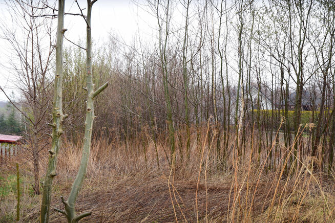 Działka budowlana 26a - Hermanowa