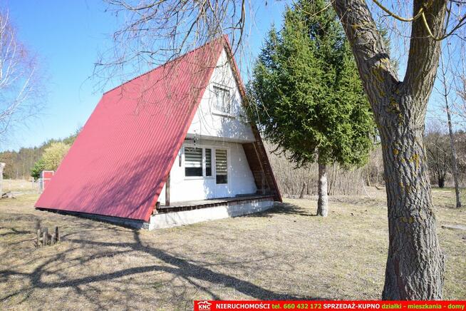 B ładna działka z domkiem letniskowym, własny las.