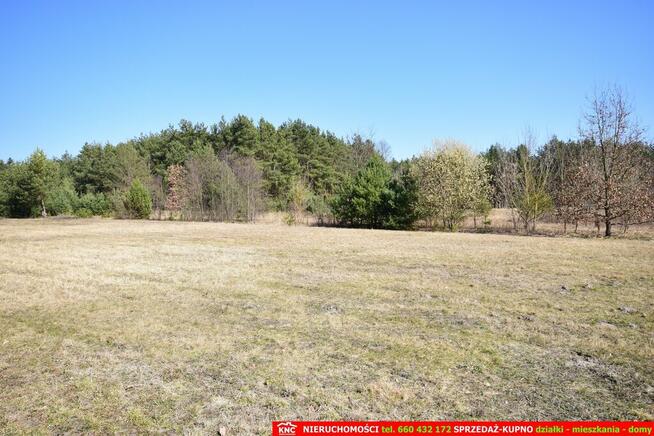 B ładna działka z domkiem letniskowym, własny las.