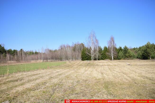 B ładna działka z domkiem letniskowym, własny las.