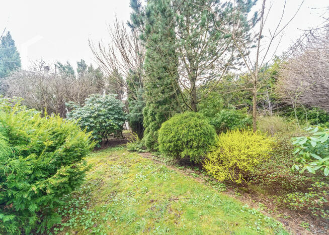 Działka inwestycyjna Bielsko-Biała Wapienica, Klasyków