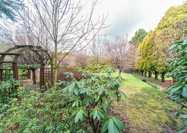 Działka inwestycyjna Bielsko-Biała Wapienica, Klasyków