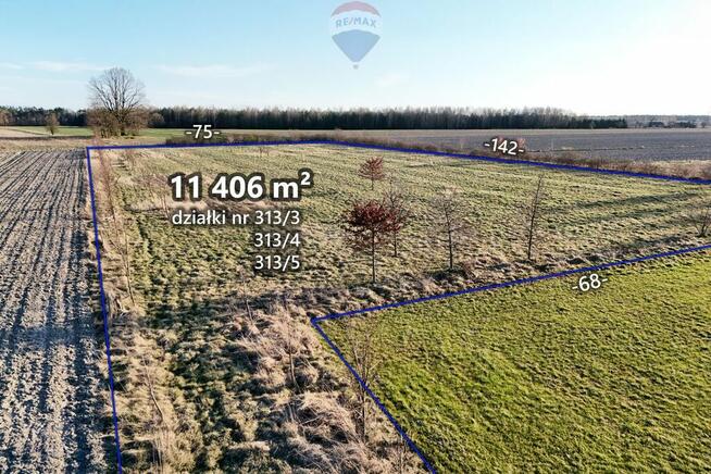 Ponad hektar przestrzeni 40 minut od Warszawy