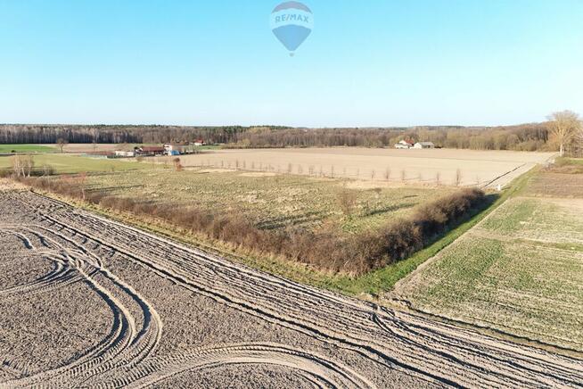 Ponad hektar przestrzeni 40 minut od Warszawy