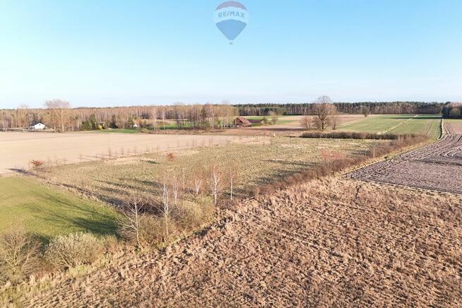 Ponad hektar przestrzeni 40 minut od Warszawy