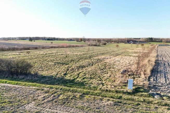 Ponad hektar przestrzeni 40 minut od Warszawy