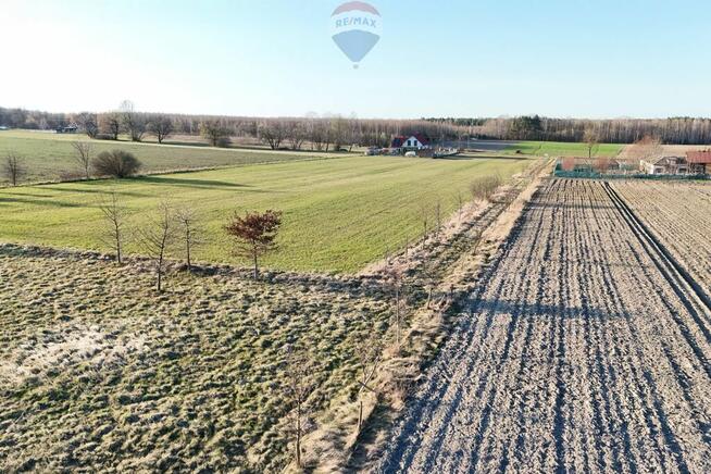 Ponad hektar przestrzeni 40 minut od Warszawy