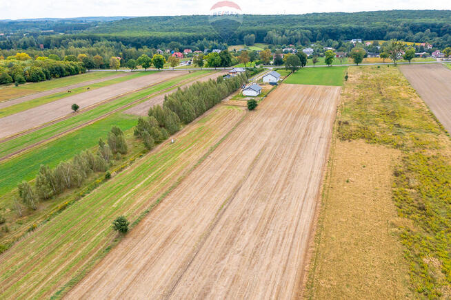Spokojna działka 1400 m² | Skotniki | Media | WZ