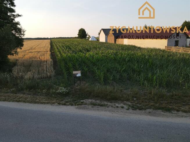 Działka Rusinów Wola Gałecka