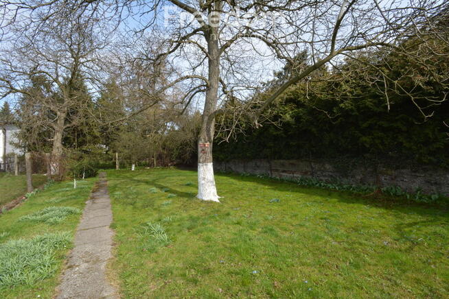 Są miejsca, które kupuje się sercem… DOM OGRÓD