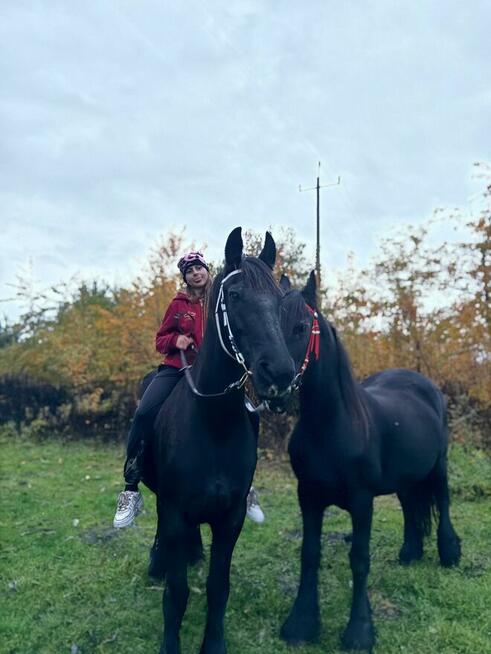 Wyjątkowa edukacja dla dzieci z udziałem koni.