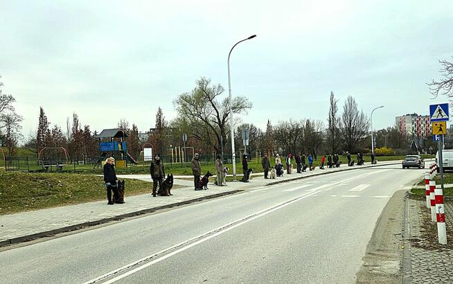 Szkolenie psów Kielce www.szkoleniepsowkielce.eu