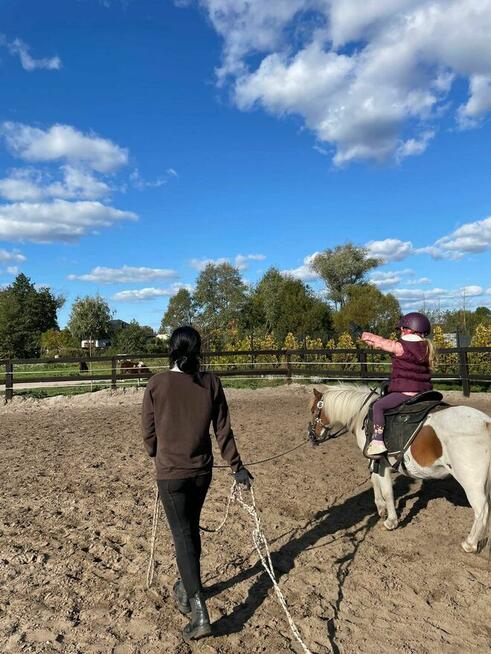 Wyjątkowa edukacja dla dzieci z udziałem koni.