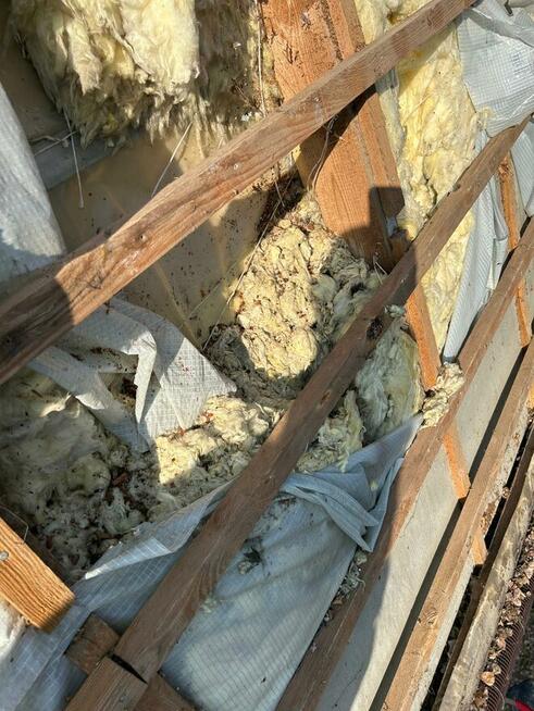 Naprawa dachu po kunie - KATOWICE