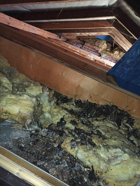 Naprawa dachu po kunie - KIELCE