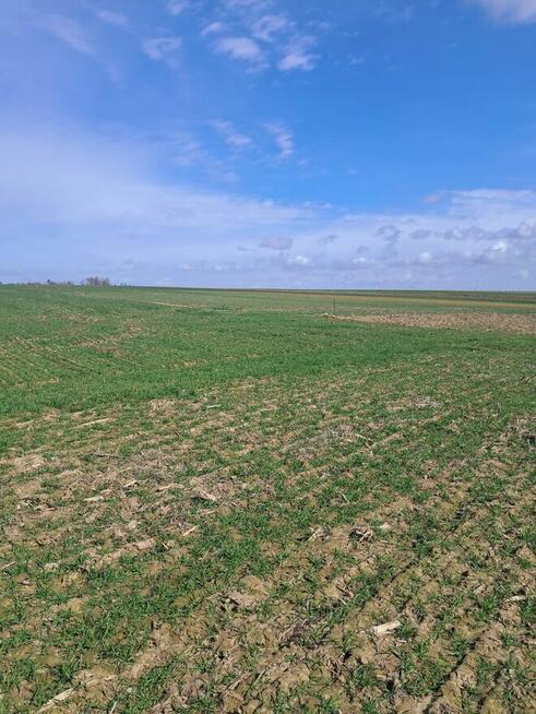 Działki budowlane o pow. od 733m2 do 1001m2, Kalisz