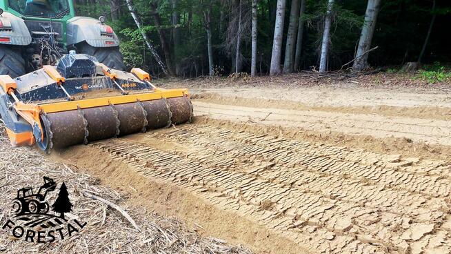 Czyszczenie działek, wycinka drzew, Mulczowanie, Korzeni