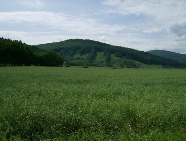 Przyjaźń niepełnosprawnej dwójki! Zaryzykujmy oboje!
