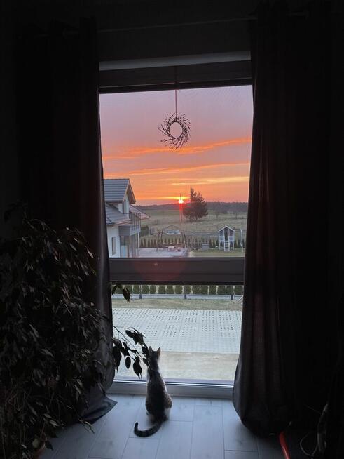 Mieszkanie dwupoziomowe /bliźniak/ duży ogród