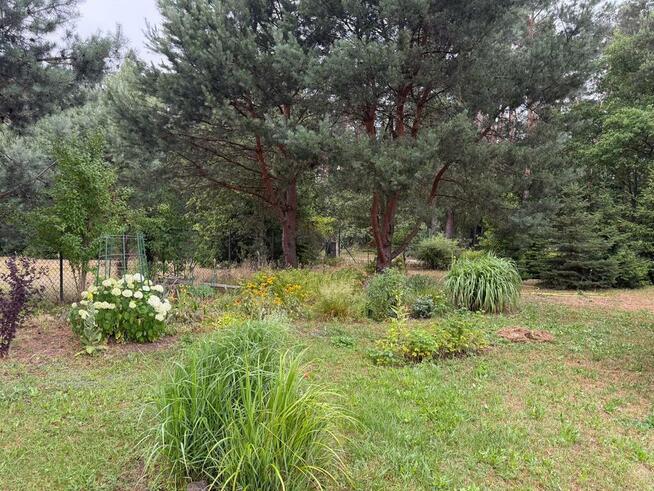 Działka rekreacyjna z możliwością przekształcenią