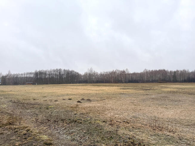 Działka inwestycyjna przy A4, Sędziszów Małopolski