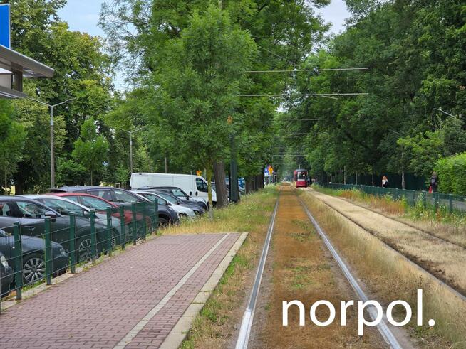 Lokal 75 m² na wynajem przy Błoniach – prestiż, ruch i świetna lokalizacja.