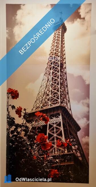 Kawalerka - świetna lokalizacja