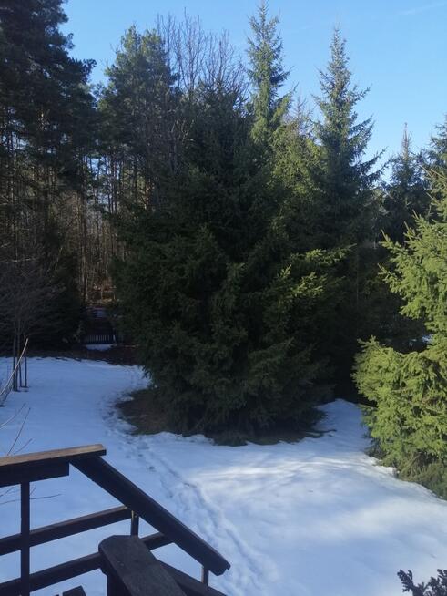 MARKSEWO-domek 41m2 nad jeziorem, działka 930m