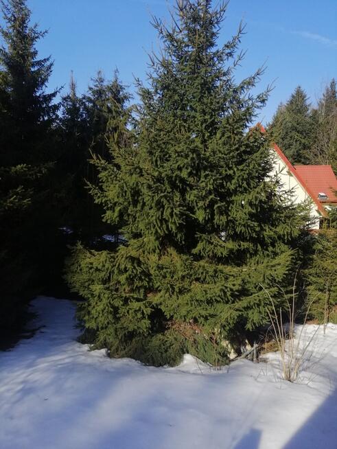 MARKSEWO-domek 41m2 nad jeziorem, działka 930m