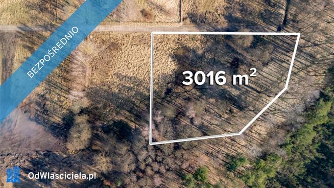 Działka przy lesie, nad Zalewem Szczecińskim z warunkami.