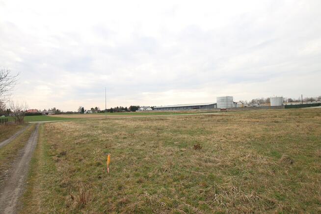 Działka budowlana 12 ar Niemce ( 8 km do Lublina)