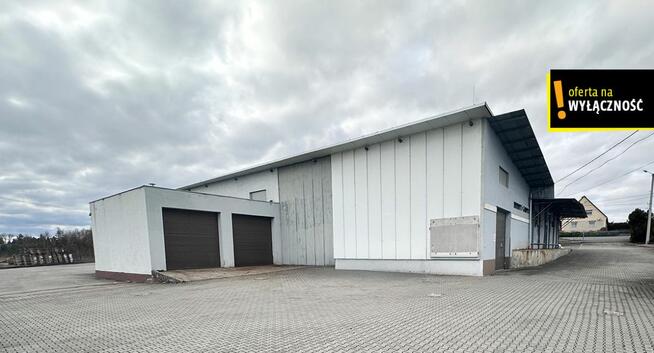 Lokal użytkowy Racibórz, Podmiejska