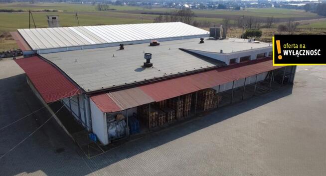 Lokal użytkowy Racibórz, Podmiejska