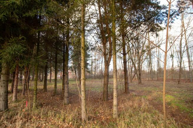 Działka budowlana Koszęcin, Słowików