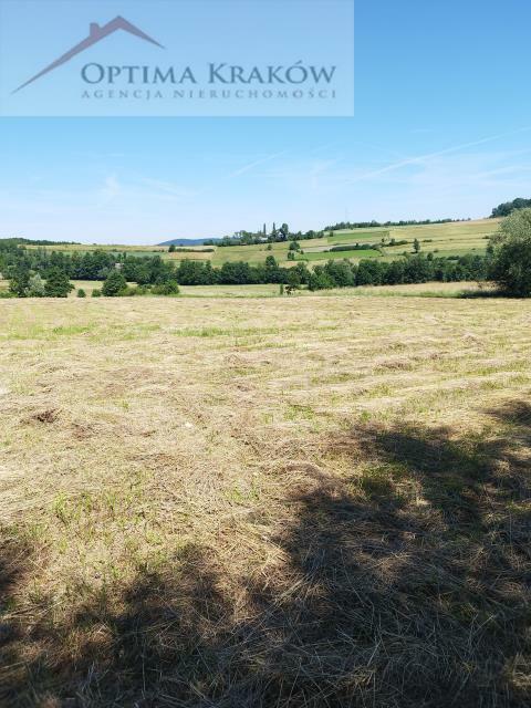 Działka rolno-budowlana Kobielnik gm. Wiśniowa