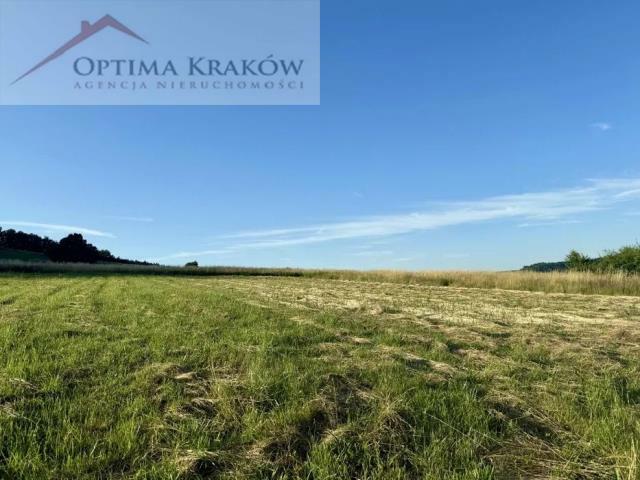 Działka rolna Trzemeśnia gm. Myślenice