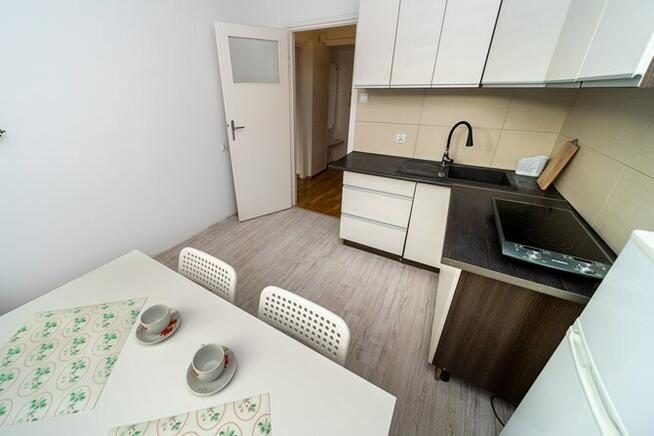 Świętojańska 11, przyjazna zwierzętom kawalerka