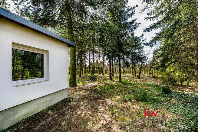 Działka rekreacyjna Poznań gm. Poznań-Nowe Miasto, Przy Lotnisku