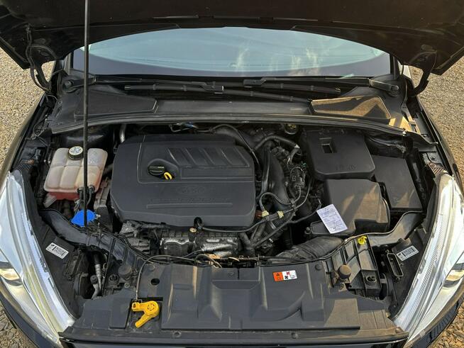 Focus 1.5 Titanium 150km szyber NAVI grzane fotele ASYSTENT pdc 2015