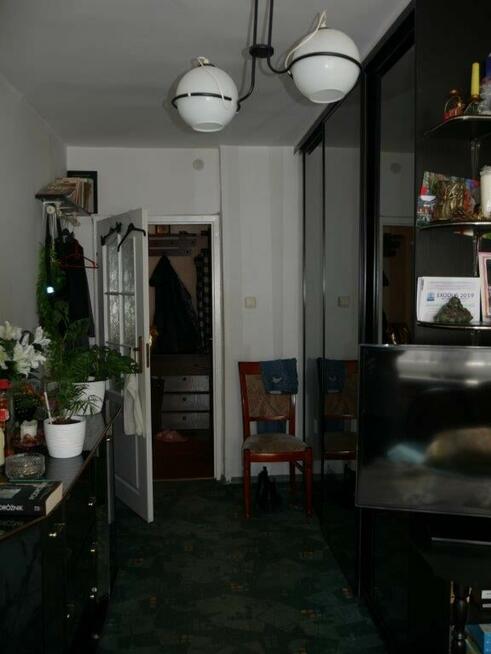 Mieszkanie, 50,20 m², Żagań