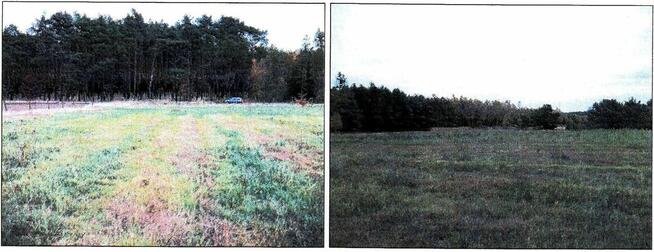 Działka, 4 999 m², Słonów