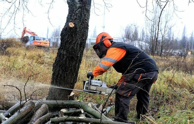 Czyszczenie działek, wycinka drzew, Mulczowanie, Korzeni