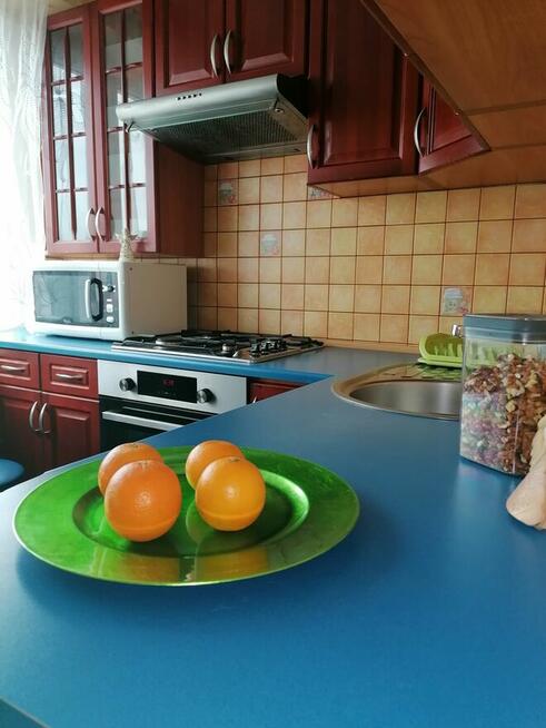 Mieszkanie do wynajęcia 2 pokoje Płock - Wielka Płyta